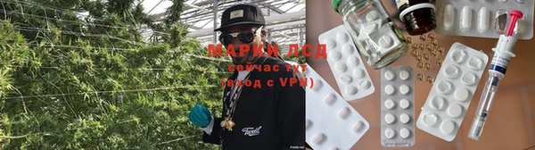PSILOCYBIN Дмитровск