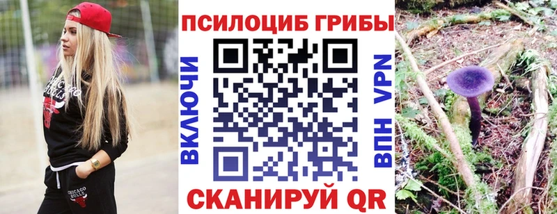 купить наркотики сайты  Новое Девяткино  Псилоцибиновые грибы Magic Shrooms 