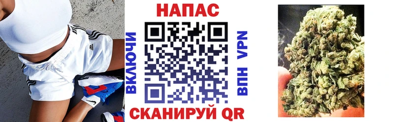 Шишки марихуана ГИДРОПОН  где найти наркотики  Новое Девяткино 